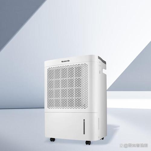 2026年推荐6款高效除湿净化产品,满足你的家居需求!